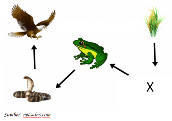 Kejarcita 1 Bank Soal Sekolah