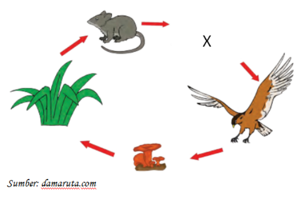 Kejarcita 1 Bank Soal Sekolah