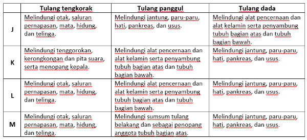 Bagian rangka yang melindungi alat pencernaan adalah