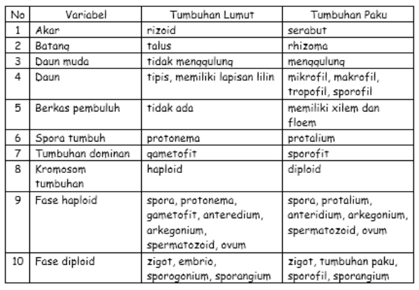 Tumbuhan lumut memiliki ciri-ciri sebagai berikut, kecuali