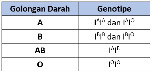 Kejarcita | Merdeka Belajar Merdeka Mengajar