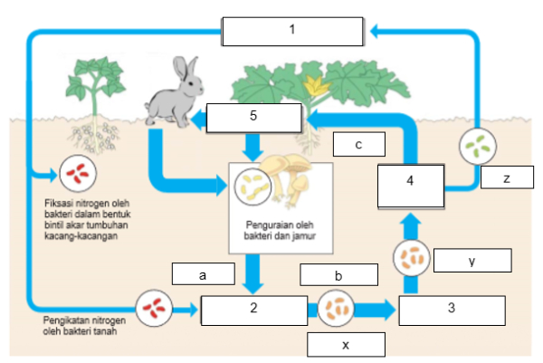 Kejarcita 1 Bank Soal Sekolah