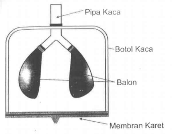 kejarcita | #1 Bank Soal Sekolah