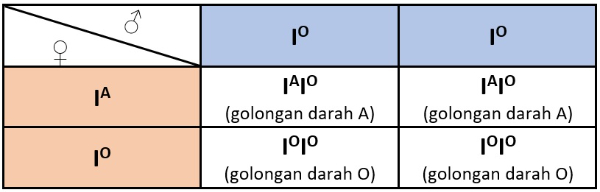 Kejarcita | Merdeka Belajar Merdeka Mengajar