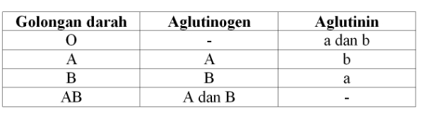 Transfusi darah dari donor yang bergolongan darah a ke resipien yang bergolongan darah b, menyebabka