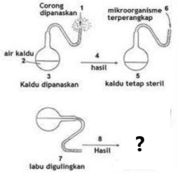 Contoh Soal Teori Evolusi – Biologi SMA