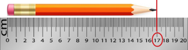 Unduh Mengenal Dan Mengukur Ukuran Panjang Satuan Cm