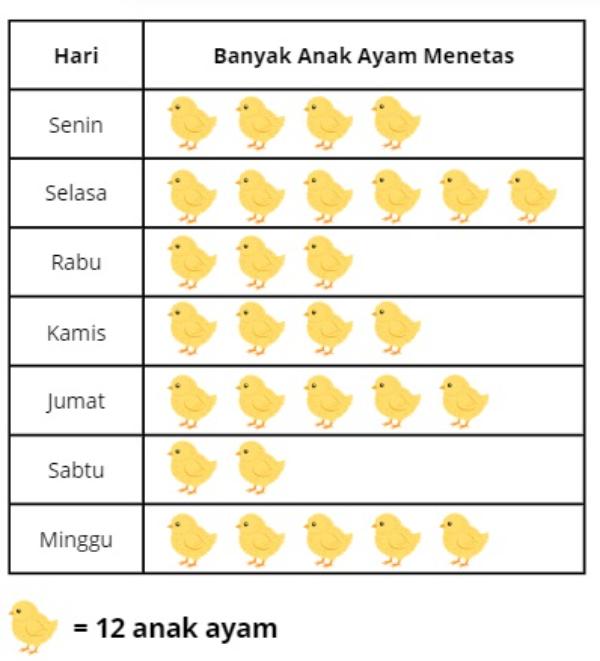 anak ayam.jpg
